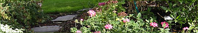 main graphic -- pretty image