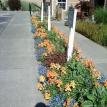 Branding with lots of color. Increases Street appeal.