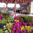 In city garden oasis.
