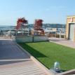 Roof-Top Dog Play Area