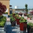 Urban Roof Top Garden-Community Space