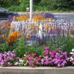 Water fountain with seasonal flowers